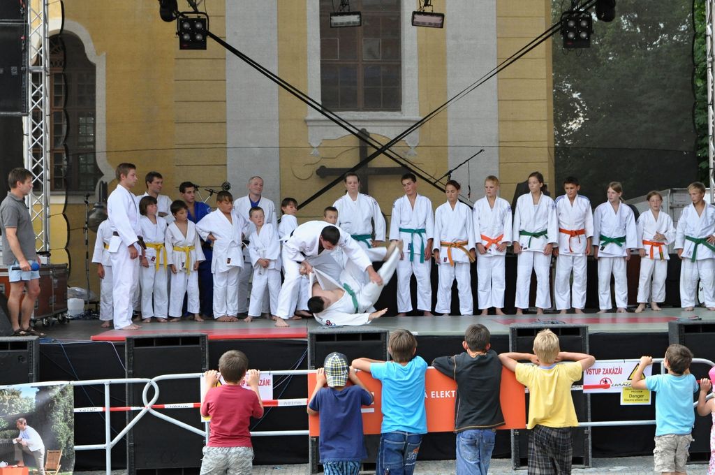 ukazky 2012__18.JPG